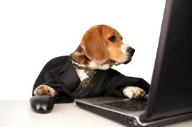 beagle computer