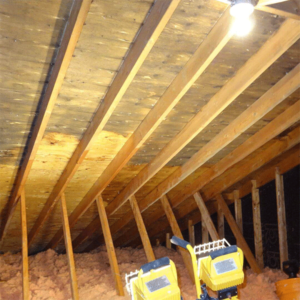 attic-mold-kitchener