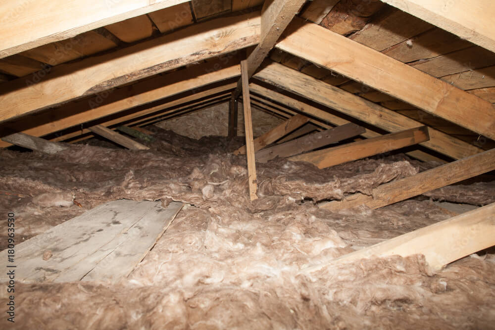 attic-mold-kitchener