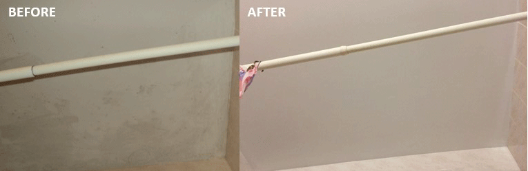 before-after-mold-removal