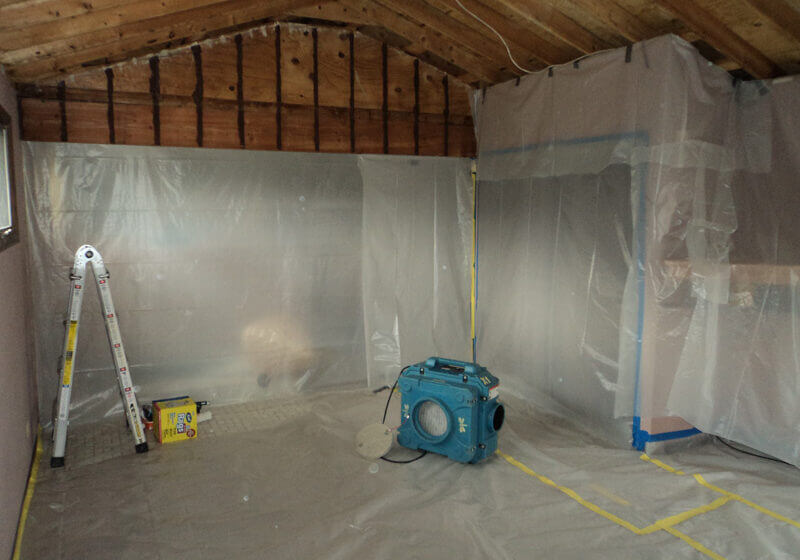 Mold removal Kitchener