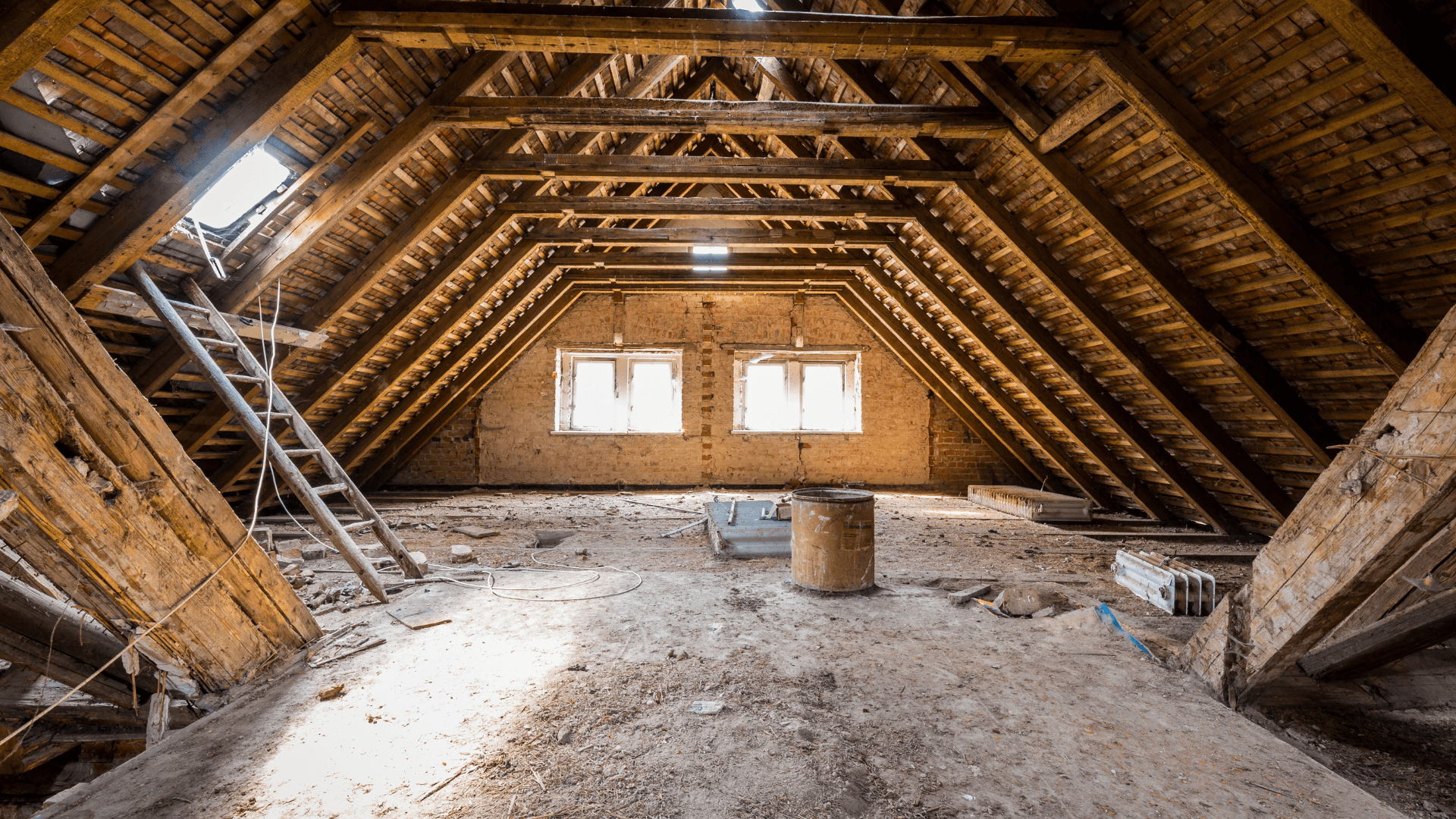 Mold in attic Kitchener 