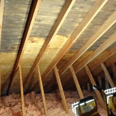 attic-mould-removal-kitchener