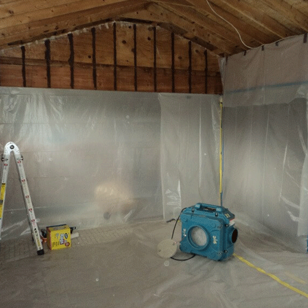 mold-removal-and-testing